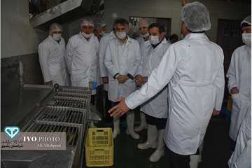 افتتاح خط 2 کشتارگاه سپیدگوشت فریمان با حضور مدیر کل و فرماندار فرمان بمناسبت دهه فجر