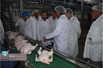 افتتاح خط 2 کشتارگاه سپیدگوشت فریمان با حضور مدیر کل و فرماندار فرمان بمناسبت دهه فجر
