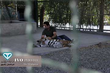 16 مرداد ماه؛ اولین روز از حضور هنرمندان استان خراسان رضوی در تور تخصصی «جشنواره ملی فیلم و عکس بیطا