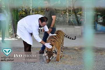 16 مرداد ماه؛ اولین روز از حضور هنرمندان استان خراسان رضوی در تور تخصصی «جشنواره ملی فیلم و عکس بیطا