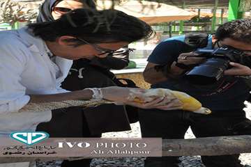 16 مرداد ماه؛ اولین روز از حضور هنرمندان استان خراسان رضوی در تور تخصصی «جشنواره ملی فیلم و عکس بیطا