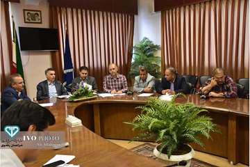  جلسه کمیته ساماندهی کشتار دام آبستن و مولد