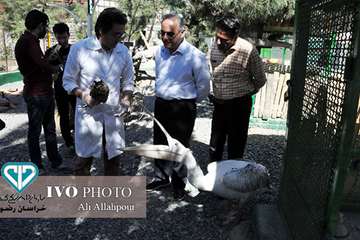 16 مرداد ماه؛ اولین روز از حضور هنرمندان استان خراسان رضوی در تور تخصصی «جشنواره ملی فیلم و عکس بیطا