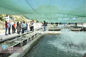 17 مرداد ماه؛ دومین روز حضور عکاسان و مستند سازان در تور جشنواره ملی فیلم و عکس بیطار