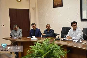  جلسه کمیته ساماندهی کشتار دام آبستن و مولد