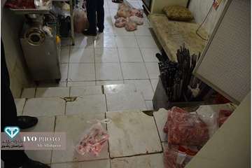 کشف و پلمپ کارگاه غیرمجاز فرآوری گوشت در مشهد  