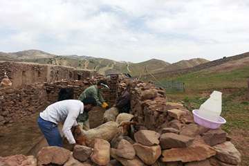 13 خرداد ماه، واکسیناسیون تب برفکی و توزیع رایگان سم در بین عشایر قوچان و درگز ساکن در هزار مسجد