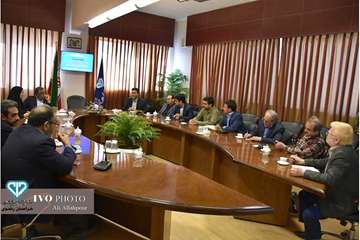 جلسه کارگروه توسعه مدیریت 