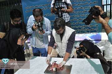 17 مرداد ماه؛ دومین روز حضور عکاسان و مستند سازان در تور جشنواره ملی فیلم و عکس بیطار