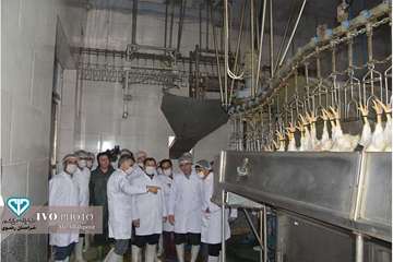 افتتاح خط 2 کشتارگاه سپیدگوشت فریمان با حضور مدیر کل و فرماندار فرمان بمناسبت دهه فجر