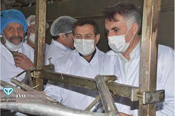 افتتاح خط 2 کشتارگاه سپیدگوشت فریمان با حضور مدیر کل و فرماندار فرمان بمناسبت دهه فجر