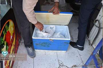 کشف و پلمپ کارگاه غیرمجاز فرآوری گوشت در مشهد  