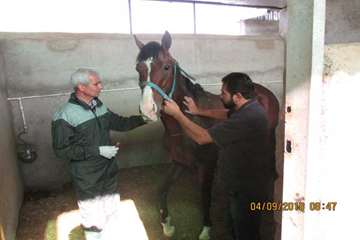 گزارش تست سرمی مشمشه در باشگاه های سوارکاری سبزوار - 14 شهریور