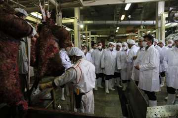 28 شهریور ماه، بازدید استاندار خراسان رضوی از موسسه ی صنعتی گوشت مشهد