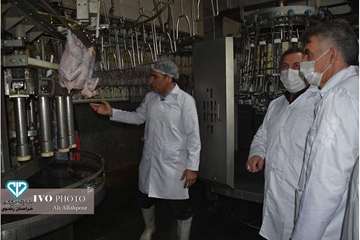 افتتاح خط 2 کشتارگاه سپیدگوشت فریمان با حضور مدیر کل و فرماندار فرمان بمناسبت دهه فجر