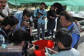 17 مرداد ماه؛ دومین روز حضور عکاسان و مستند سازان در تور جشنواره ملی فیلم و عکس بیطار