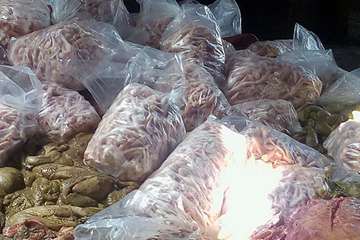 12 شهریور ماه؛کشف و معدوم سازی بیش از 6  تن فرآورده خام دامی غیر بهداشتی در مشهد 