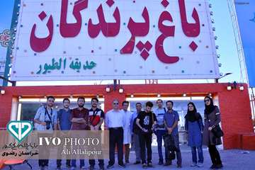 16 مرداد ماه؛ اولین روز از حضور هنرمندان استان خراسان رضوی در تور تخصصی «جشنواره ملی فیلم و عکس بیطا