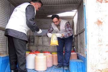 23 آذرماه؛ معدوم سازی قریب به 3 تن تخم مرغ غیر بهداشتی توسط شبکه دامپزشکی بینالود