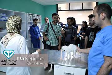 16 مرداد ماه؛ اولین روز از حضور هنرمندان استان خراسان رضوی در تور تخصصی «جشنواره ملی فیلم و عکس بیطا