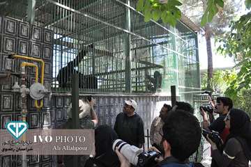 16 مرداد ماه؛ اولین روز از حضور هنرمندان استان خراسان رضوی در تور تخصصی «جشنواره ملی فیلم و عکس بیطا