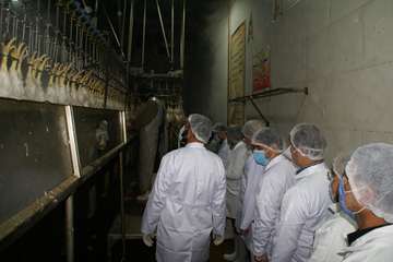 بازدید مسئول حوزه نمایندگی ولی فقیه در سازمان دامپزشکی کشور از کشتارگاه سپیدگوشت