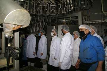 بازدید مسئول حوزه نمایندگی ولی فقیه در سازمان دامپزشکی کشور از کشتارگاه سپیدگوشت
