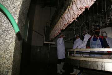 بازدید مسئول حوزه نمایندگی ولی فقیه در سازمان دامپزشکی کشور از کشتارگاه سپیدگوشت