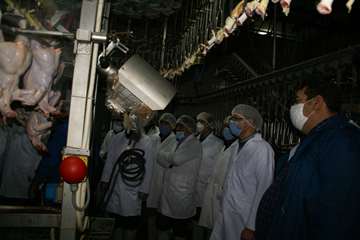 بازدید مسئول حوزه نمایندگی ولی فقیه در سازمان دامپزشکی کشور از کشتارگاه سپیدگوشت