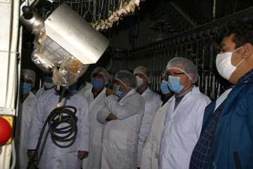 بازدید مسئول حوزه نمایندگی ولی فقیه در سازمان دامپزشکی کشور از کشتارگاه سپیدگوشت