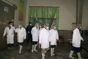 بازدید مسئول حوزه نمایندگی ولی فقیه در سازمان دامپزشکی کشور از کشتارگاه سپیدگوشت