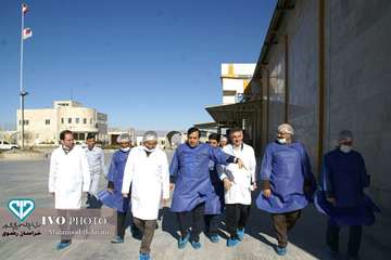 بازدید رییس سازمان دامپزشکی کشور به همراه مدیرکل دامپزشکی استان خراسان رضوی و هیئت همراه  از کارخانه