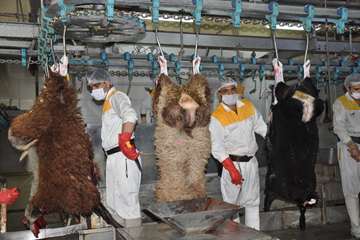 طرح ترویجی نظارت های بهداشتی دامپزشکی در روز عید قربان