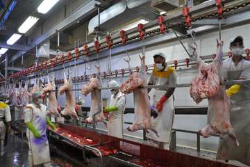 طرح ترویجی نظارت های بهداشتی دامپزشکی در روز عید قربان