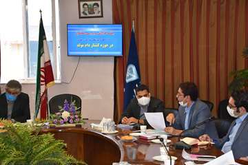 گزارش و بررسی عملکرد دامپزشکی کشتار دام مولد