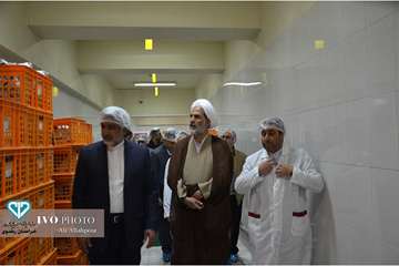 گشت مشترک مدیران دستگاههای اجرایی استان و رئیس سازمان بازرسی استاندر پایانه فرودگاه بین المللی مشهد