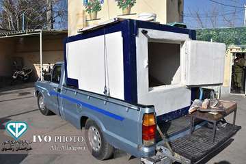 کشف و ضبط محموله گربه ماهی توسط کارشناسان دامپزشکی در مشهد