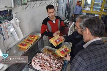  نظارت عالیه بهداشتی در روز طبیعت از فروشگاههای اول گاز توسط معاون سلامت اداره کل دامپزشکی