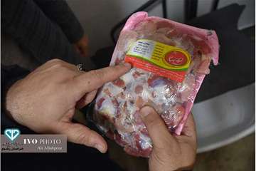  نظارت عالیه بهداشتی در روز طبیعت از فروشگاههای اول گاز توسط معاون سلامت اداره کل دامپزشکی