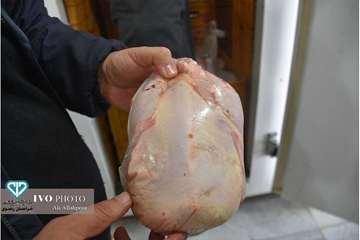  نظارت عالیه بهداشتی در روز طبیعت از فروشگاههای اول گاز توسط معاون سلامت اداره کل دامپزشکی