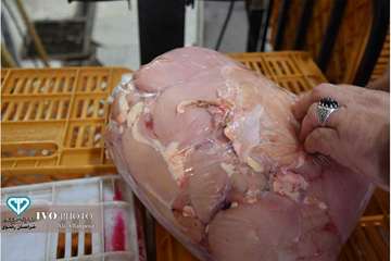  نظارت عالیه بهداشتی در روز طبیعت از فروشگاههای اول گاز توسط معاون سلامت اداره کل دامپزشکی