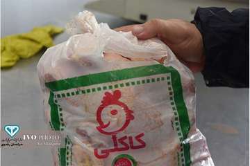  نظارت عالیه بهداشتی در روز طبیعت از فروشگاههای اول گاز توسط معاون سلامت اداره کل دامپزشکی