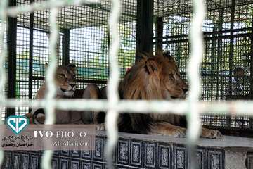 16 مرداد ماه؛ اولین روز از حضور هنرمندان استان خراسان رضوی در تور تخصصی «جشنواره ملی فیلم و عکس بیطا