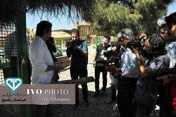 16 مرداد ماه؛ اولین روز از حضور هنرمندان استان خراسان رضوی در تور تخصصی «جشنواره ملی فیلم و عکس بیطا