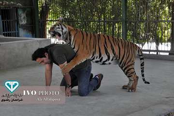 16 مرداد ماه؛ اولین روز از حضور هنرمندان استان خراسان رضوی در تور تخصصی «جشنواره ملی فیلم و عکس بیطا