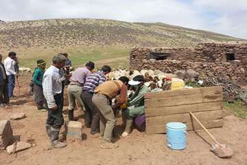 13 خرداد ماه، واکسیناسیون تب برفکی و توزیع رایگان سم در بین عشایر قوچان و درگز ساکن در هزار مسجد