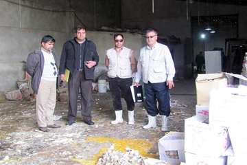 23 آذرماه؛ معدوم سازی قریب به 3 تن تخم مرغ غیر بهداشتی توسط شبکه دامپزشکی بینالود