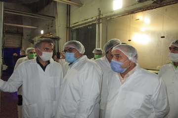 بازدید مدیران کل دامپزشکی و تعزیرات حکومتی از کشتارگاههای طیور مشهد