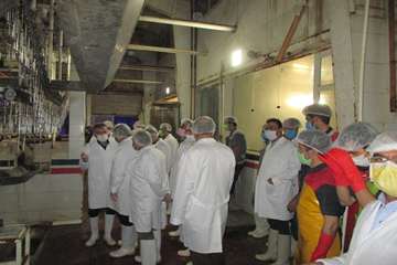 بازدید مدیران کل دامپزشکی و تعزیرات حکومتی از کشتارگاههای طیور مشهد