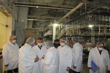 بازدید مدیران کل دامپزشکی و تعزیرات حکومتی از کشتارگاههای طیور مشهد
